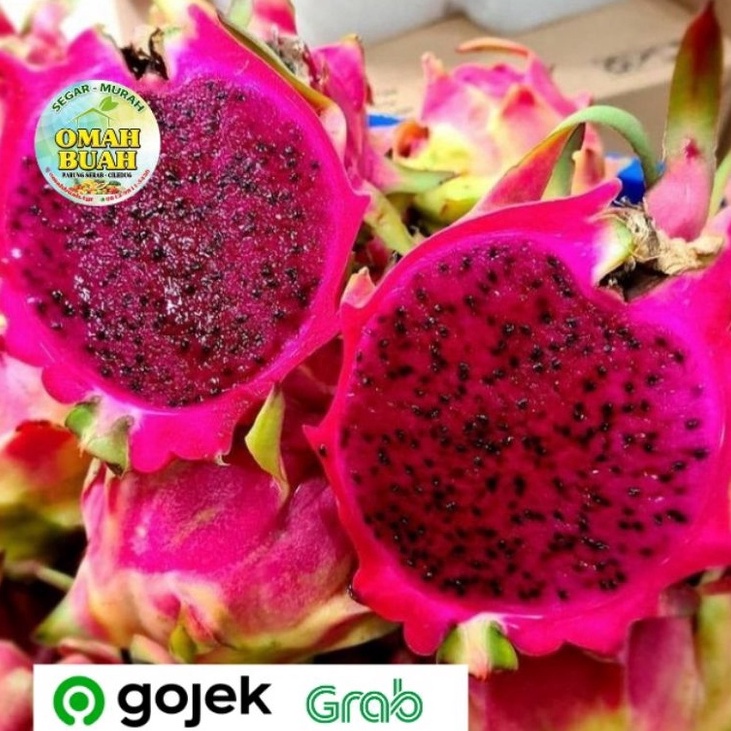 

Real Promotion Buah Naga Merah Manis 5 gram1 kg