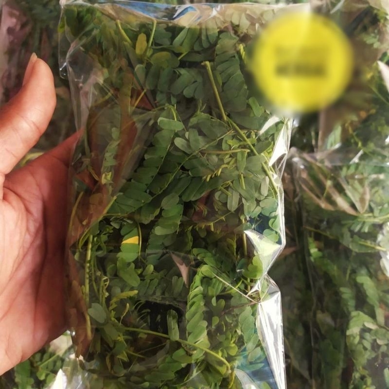 

Daun saga segar / Sogo segar / herbal Sariawan - Amandel dll ( berat 100 gram )