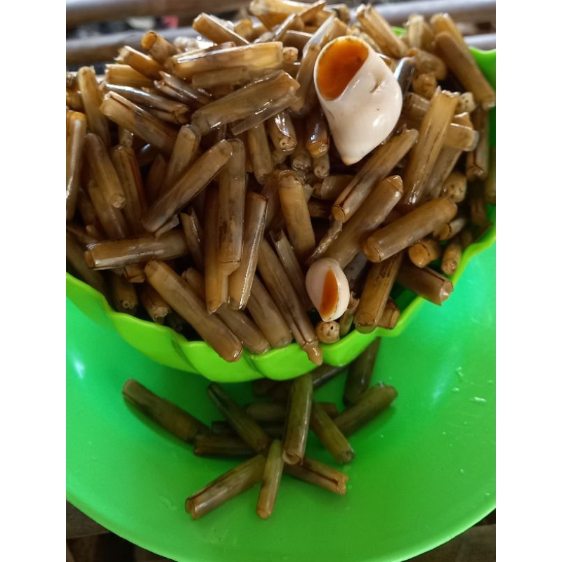 

KERANG BAMBU KUPAS KERING