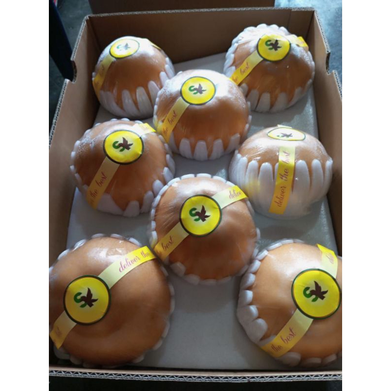 

Pir Singo/Korea Merk Random 1 Buah