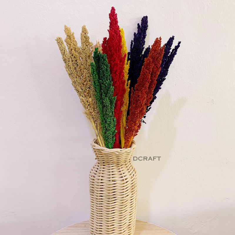 Bunga Cantel Kering / Bunga Sorgum Kering / Bunga Kering