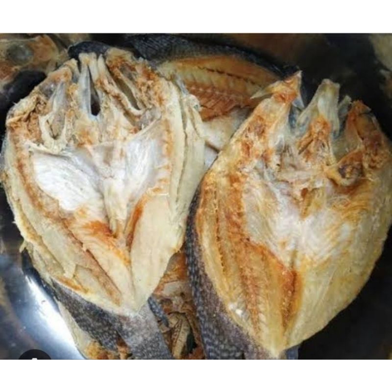 

ikan asing katamba / pampang online