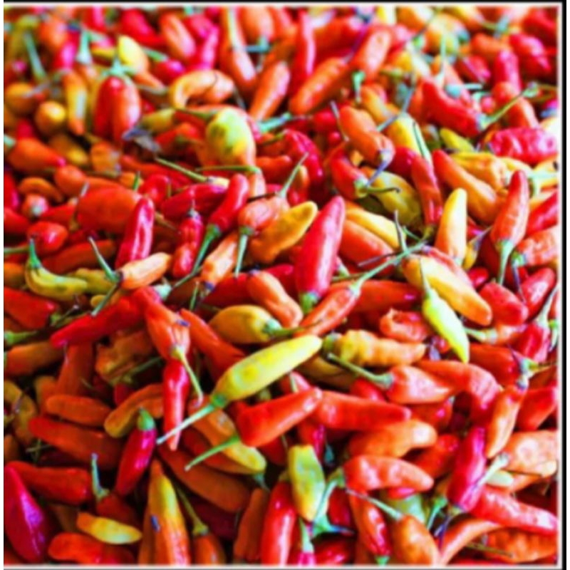 

CABE RAWIT MERAH 500gr/1kg