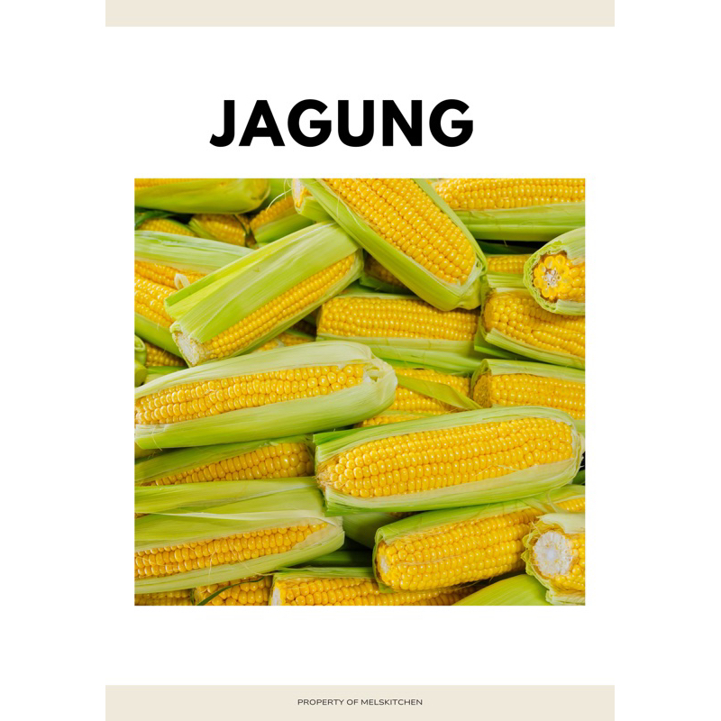 

jagung manis segar 500gr