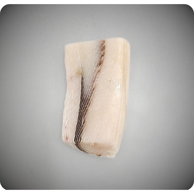 

ikan cucut fillet boneless 1 kg