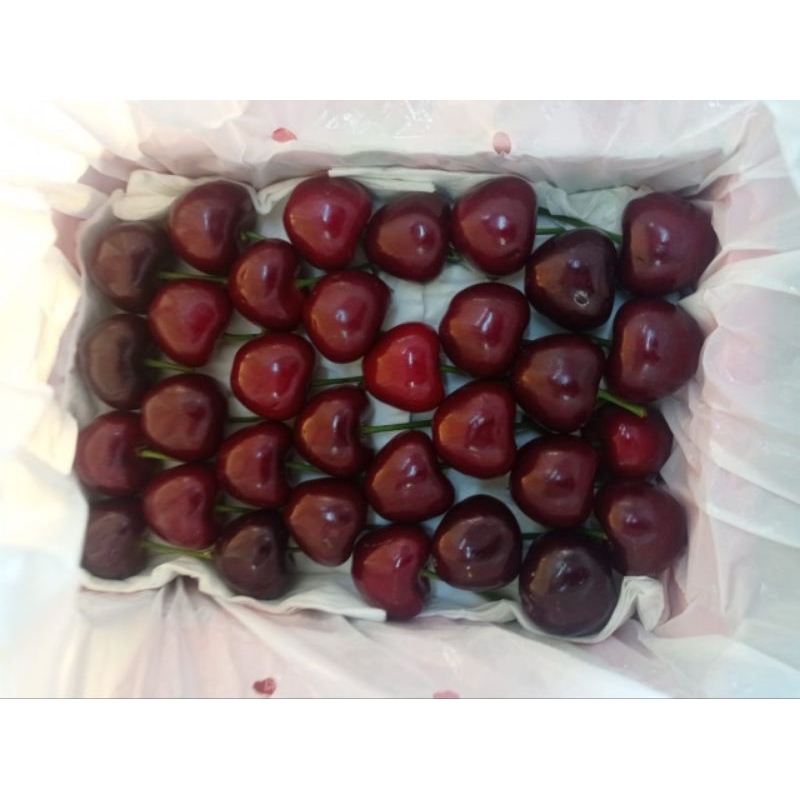 

PROMO CHERRY RED SUPER FRESH 250 GRAM