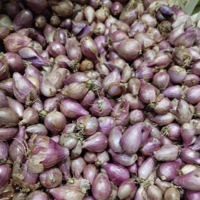 

BAWANG MERAH KEMASAN 1 KG