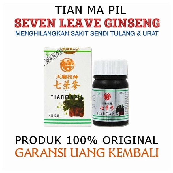 SEVEN LEAVE GINSENG TIANMAPIL BPOM OBAT NYERI SENDI PEGEL LINU ASAM URAT QI YE SHEN ORIGINAL