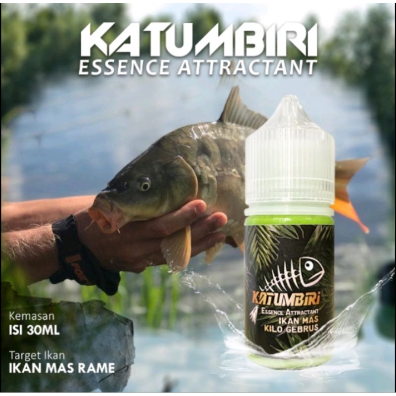 Essen katumbiri khusus ikan mas harian paling ampuh Essen ikan mas kilo gebrus semua media umpan