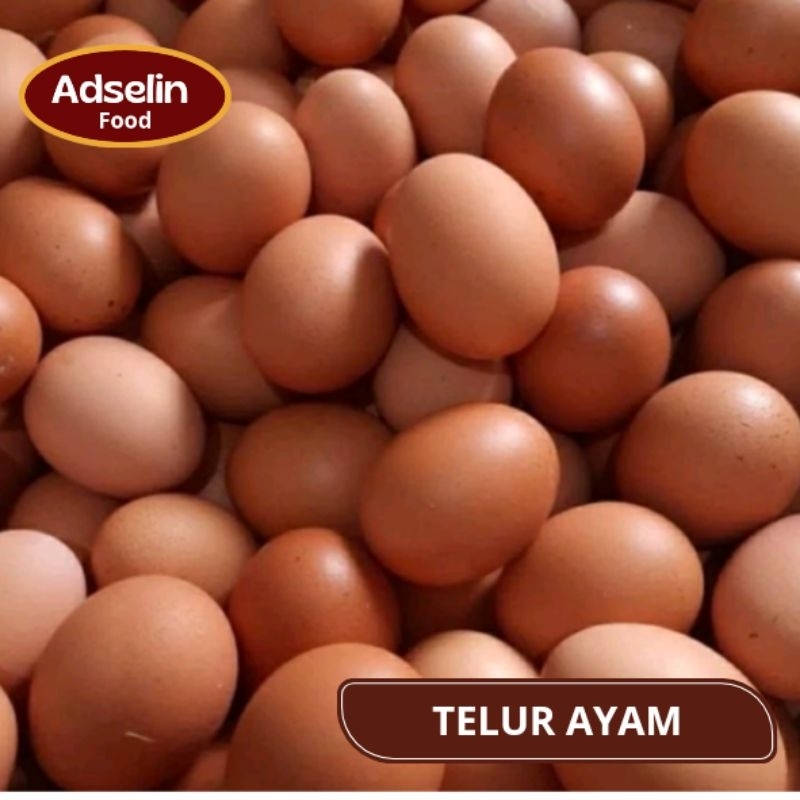 

Telur Ayam Negri 1 Kg Fresh Instan Sayur Segar Jakarta