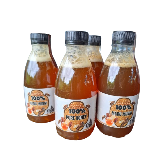 

MADU MURNI ASLI BALI 100% TANPA CAMPURAN 350ml (PURE HONEY 100%)