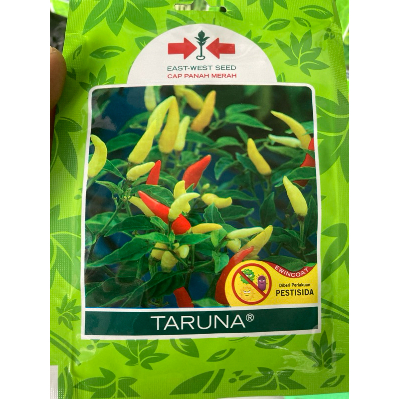 

benih bibit cabe TARUNA 500btr