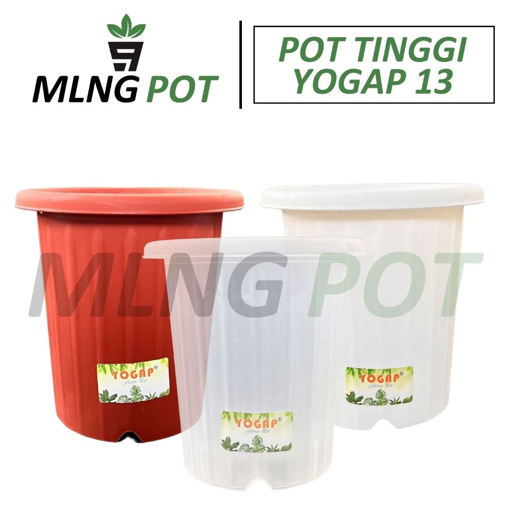 Pot Yogap | Pot Terlaris | Pot 13 Tanaman Hias |