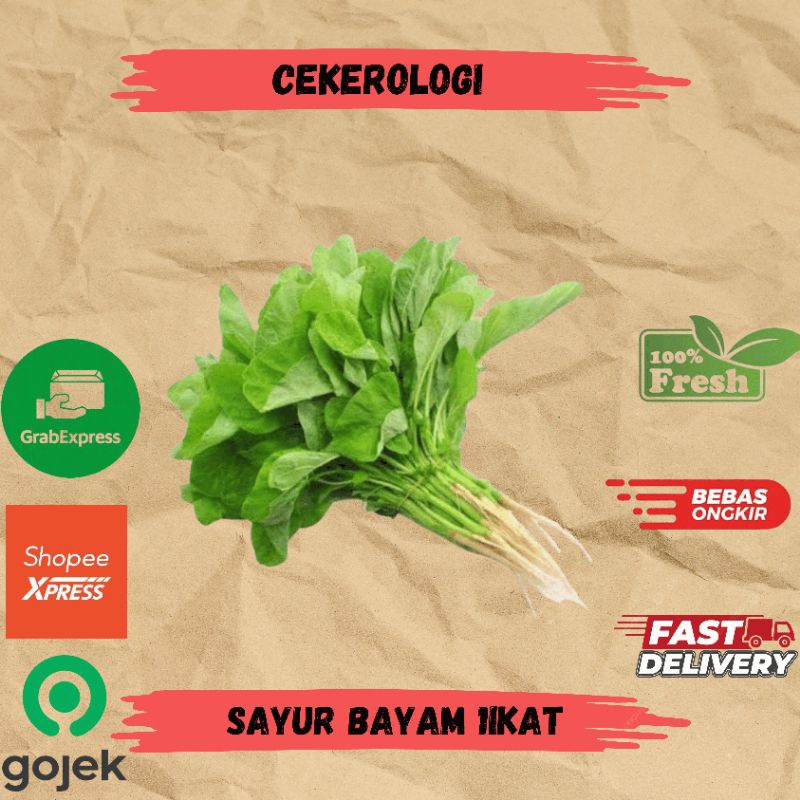 

Sayur Bayam 1ikat / Sayur Bayam / Bayam / Bayam Fresh Berkualitas / JABODETABEK / Sayur Segar / Sayuran / Sayur