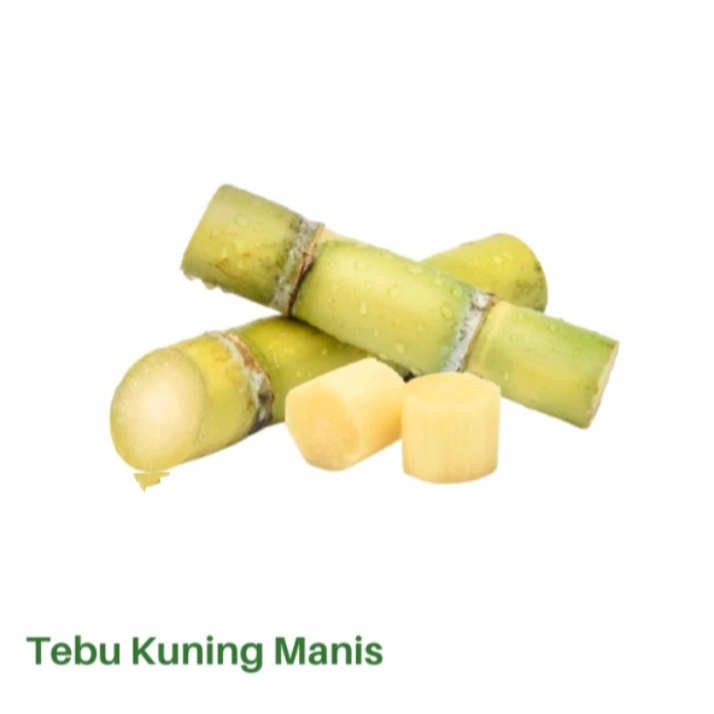 

TEBU SEGER/ TEBU MANIS/ TEBU KUNING/ TEBU BIBIT