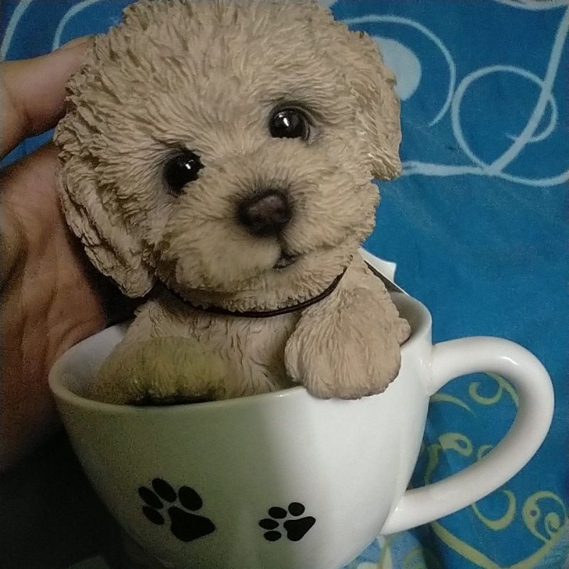 FIGURAN POODLE IN TEACUP 303