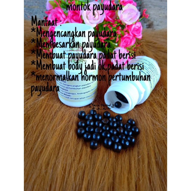 

JAMU HERBAL montok payudara