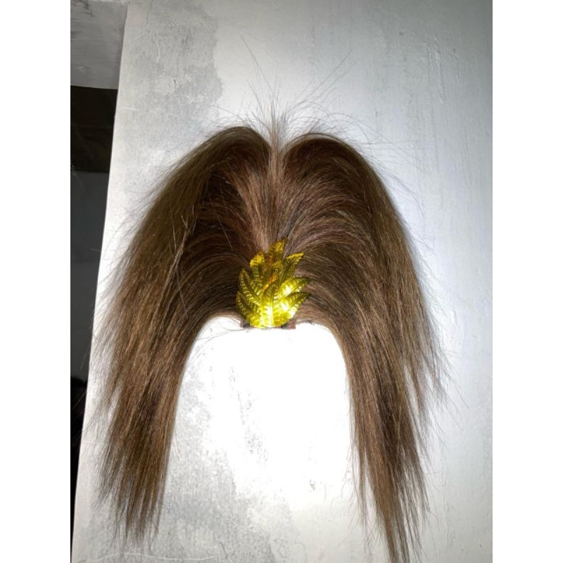 JAMBUL GANONG WARNA COKLAT KUDA