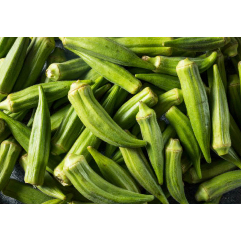 

Okra, Okra Hijau, Segar, Sayur Okra Murah segar 10 kg