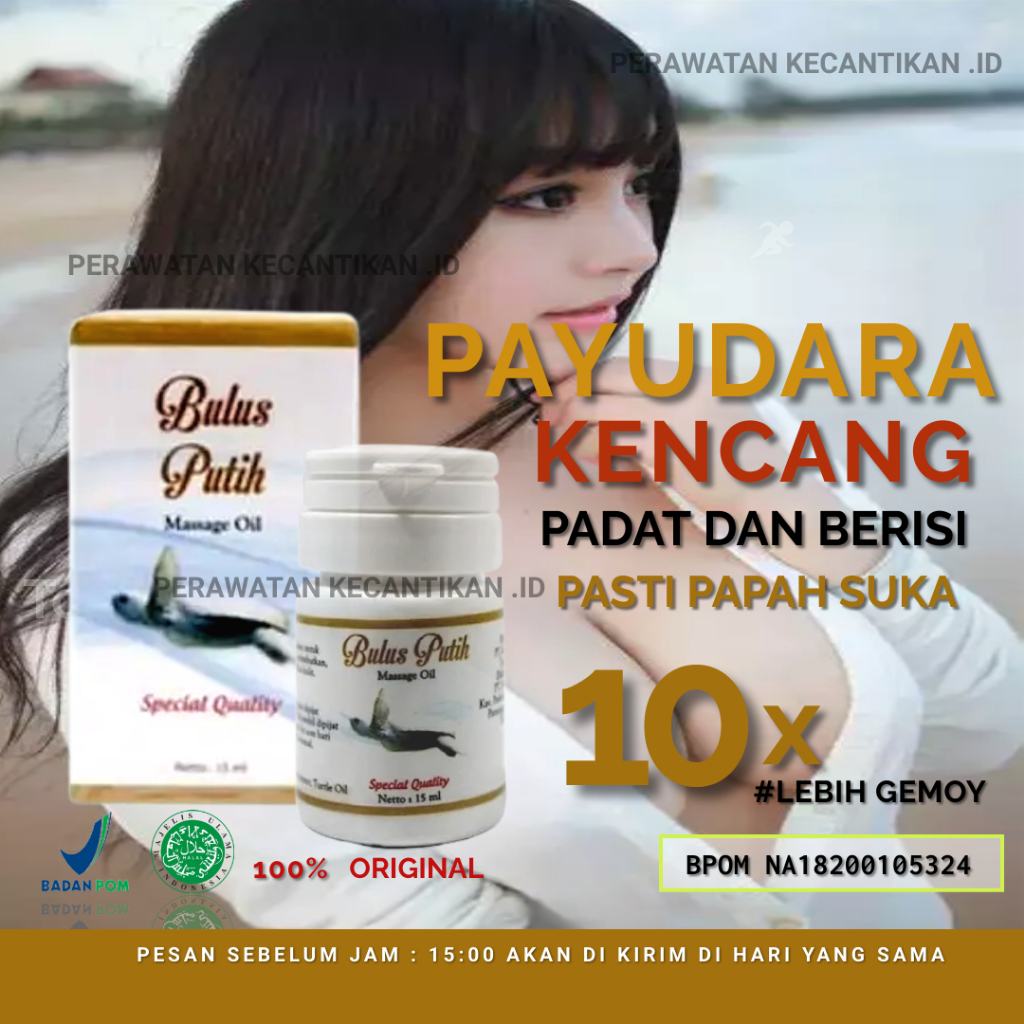 ORIGINAL Obat Pembesar Minyak Bulus Pengencang Payudara yg Kendur BPOM Payudara Ampuh Permanen
