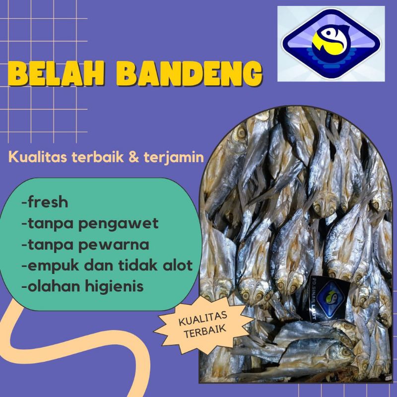 

Ikan Asin Belah Bandeng Berat 250g 500g 1kg