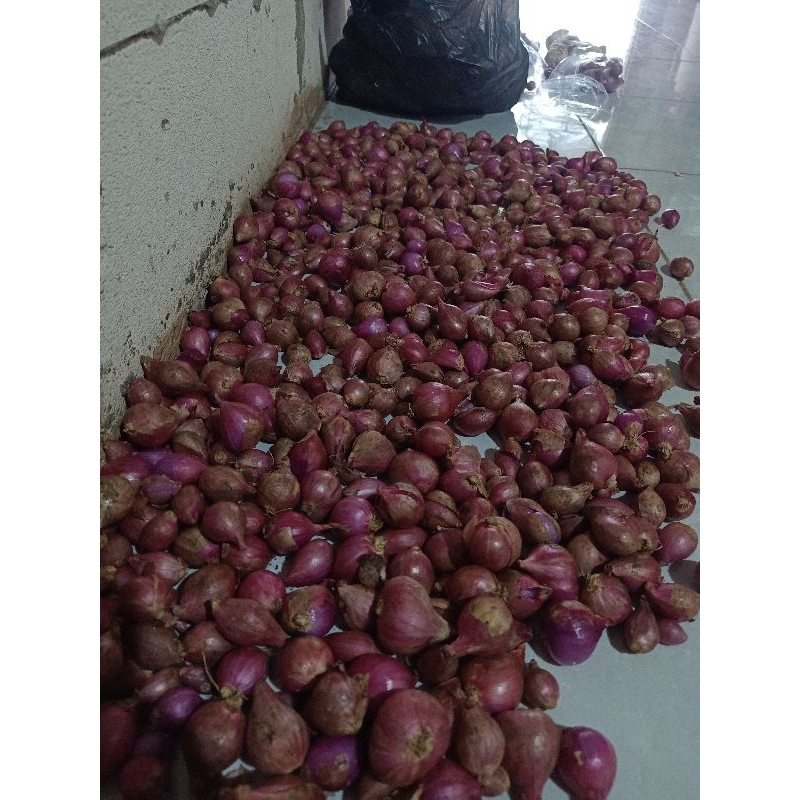 

bawang merah super