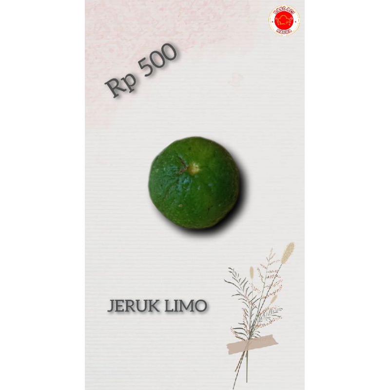 

JERUK/JERUK LIMO/JERUK LIMAU/JERUK LIMOU/JERUK PENYEDAP RASA/JERUK MAKANAN