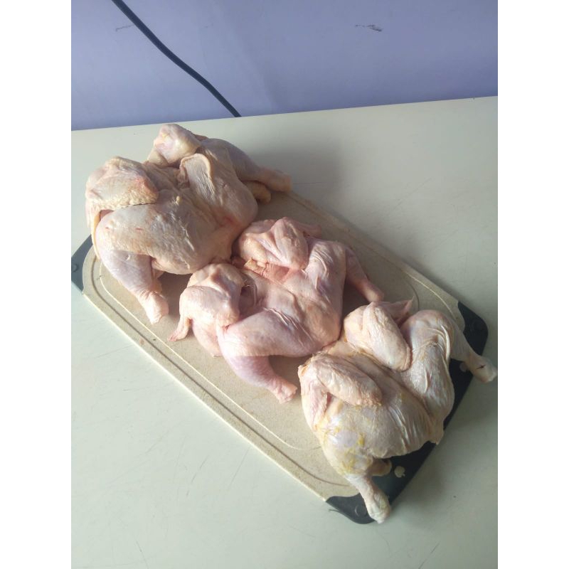 

AYAM KARKAS UK.09.10