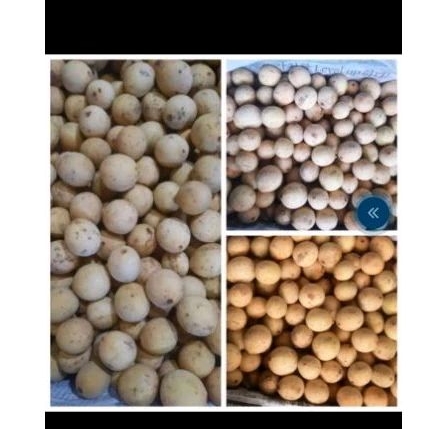 

Duku segar 1kg