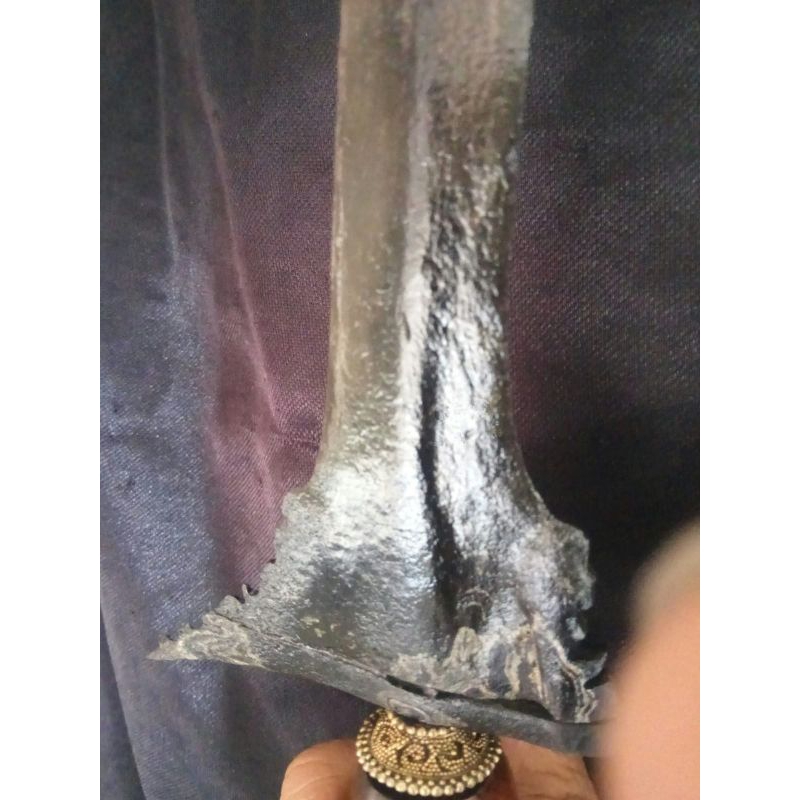 Keris SepuhUmyang Jimbe