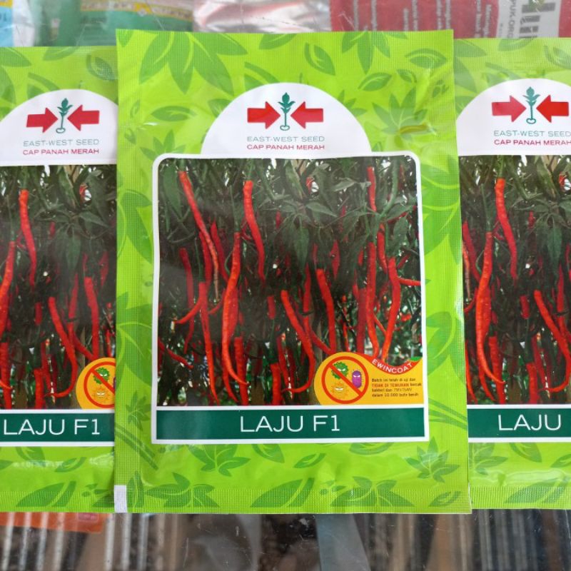 Benih cabai keriting LAJU F1