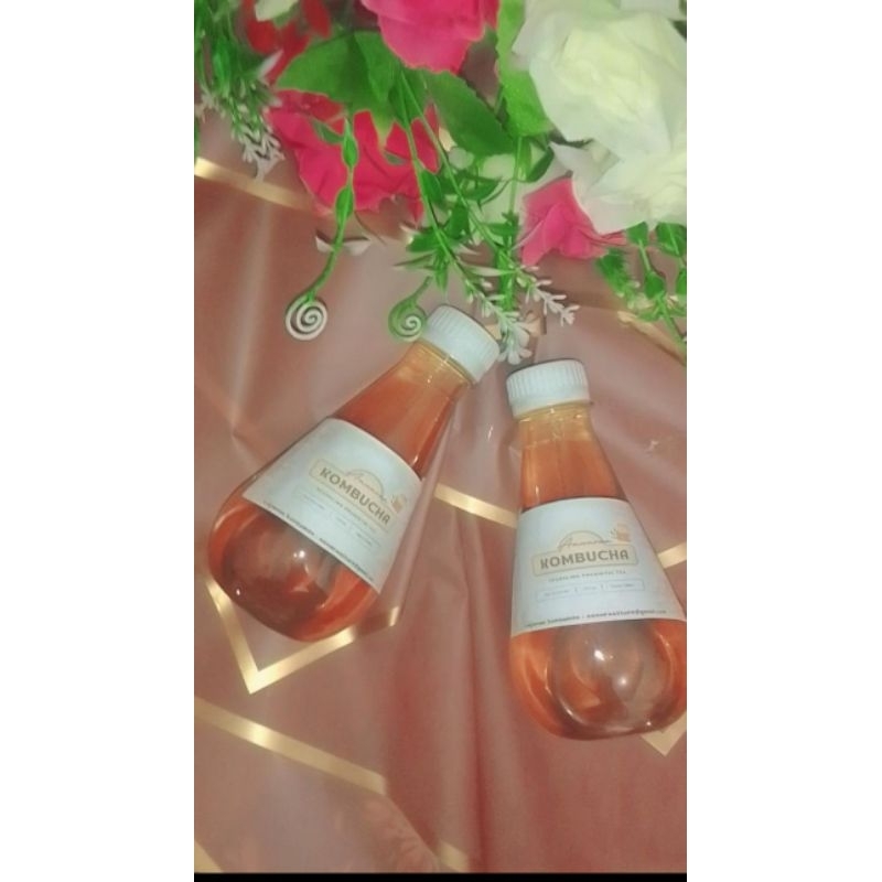 

Minuman Teh Kombucha Original Teh Fermentasi Teh Kombucha 250 ml