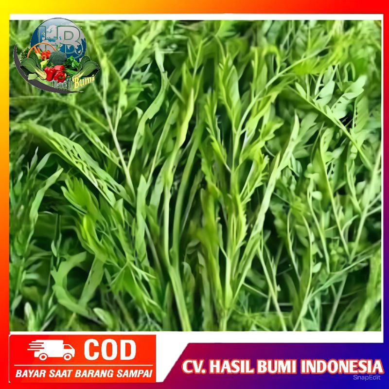 

Daun Pete cina segar obat herbal alami 1kg