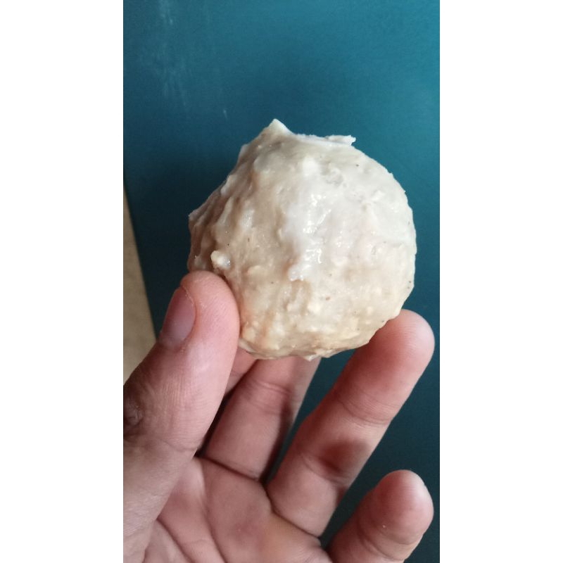 

BAKSO URAT UKURAN BESAR