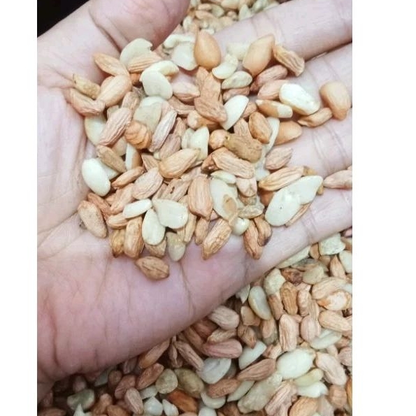 

Kacang tanah untuk bumbu hasil sortir/asalan 500gr