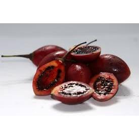 

Terong Belanda Langsung Panen 1kg