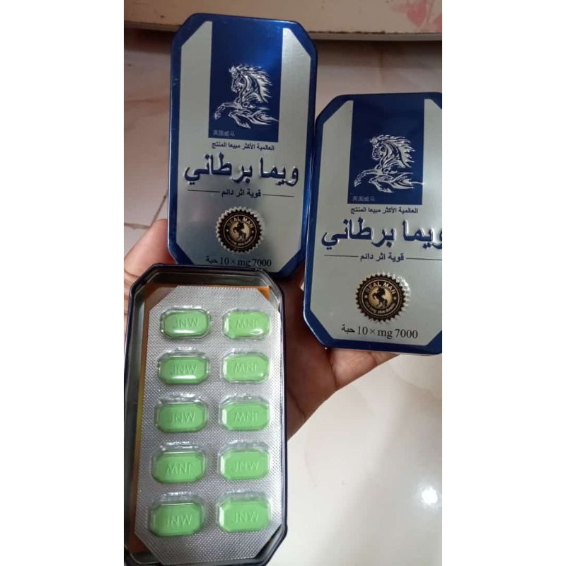 kuda liar arab by usa