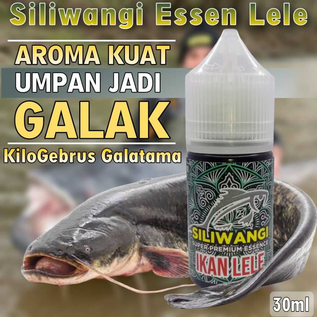 Essen Siliwangi Lele, Essen ikan Lele Media Cacing, Essen Ikan Lele media Alam, Essen Ikan Lele Medi