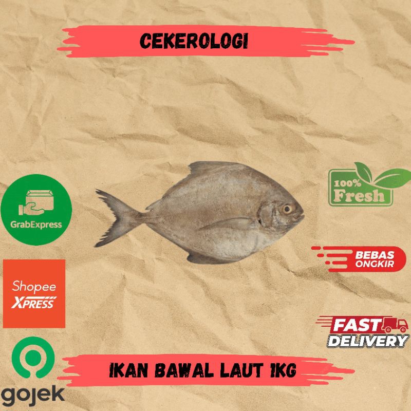 

Ikan Bawal Laut 1kg / Ikan Bawal Laut / Ikan Bawal / Ikan Bawal Laut Fresh Berkualitas / JABODETABEK / Ikan Segar / Ikan