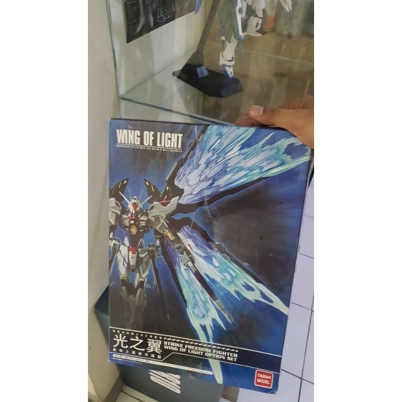 wing of light mg strike freedom daban