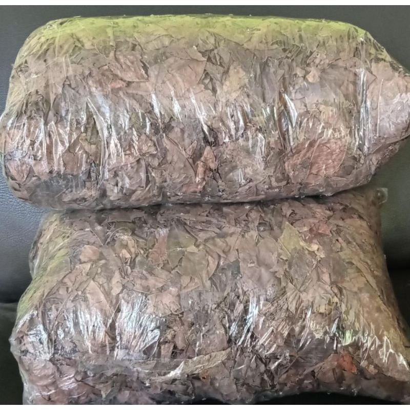 

Daun salam kering 1 kg | bay leaves