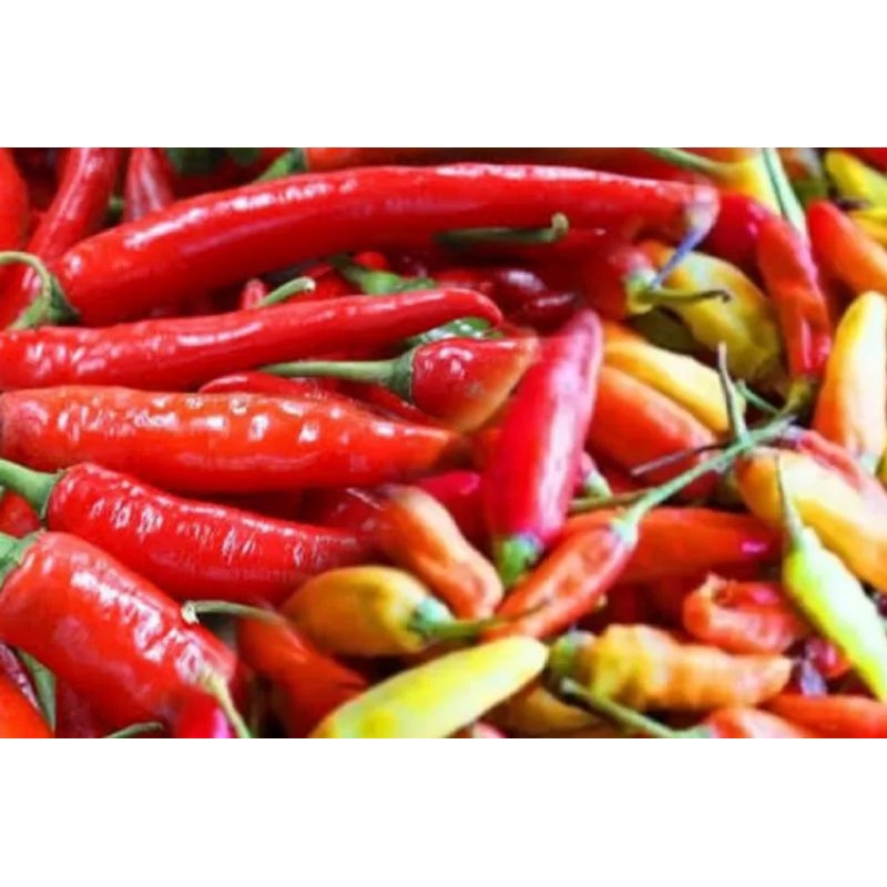

Cabe Rawit Cabai Besar Merah Campur Pedas Segar Lombok Cilik Cabai Mentah Pilihan Fresh