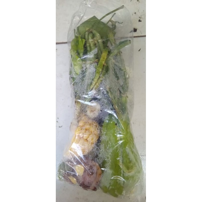 

Sayur Lodeh /bks