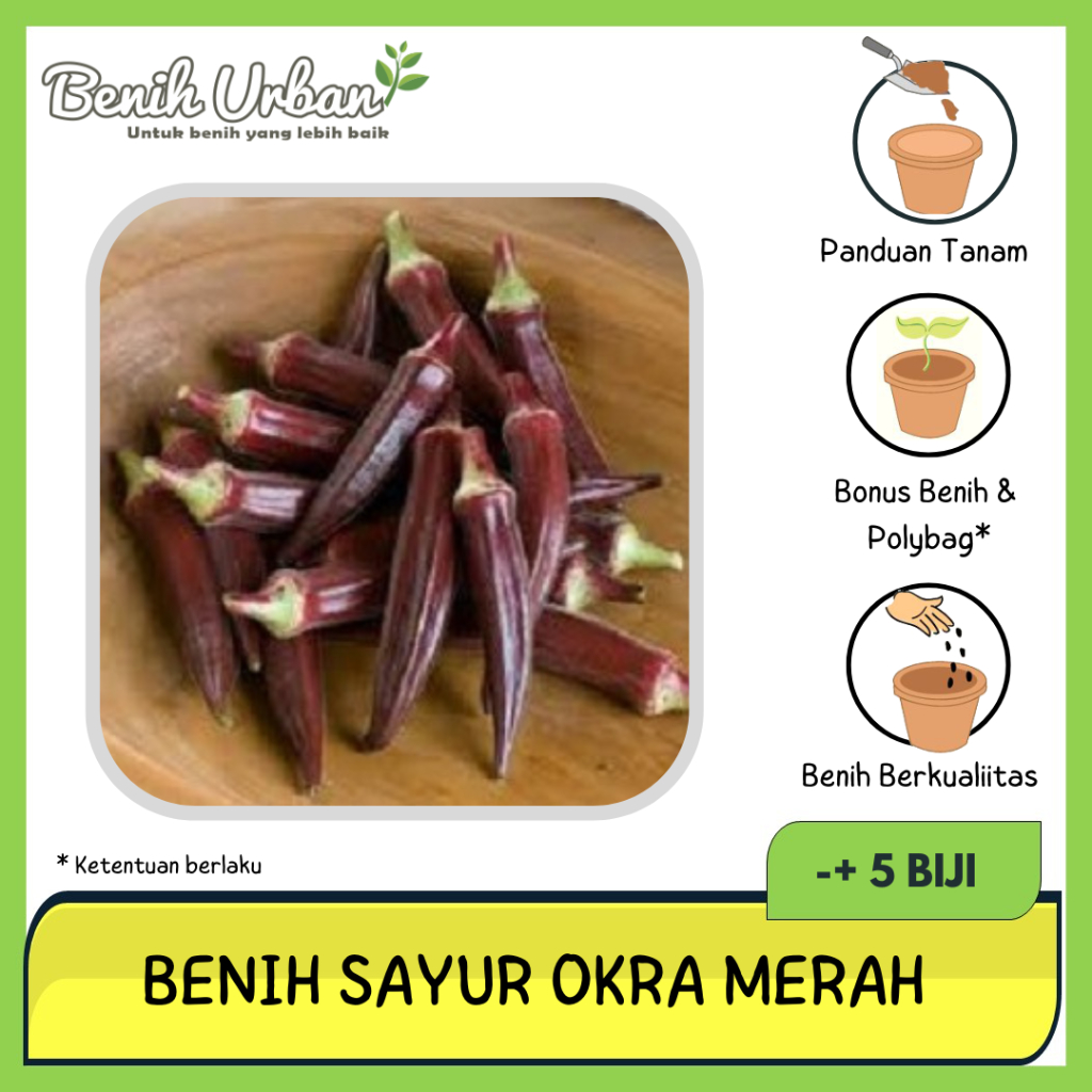5 Butir Benih Sayur Okra Merah Okra F1 Carmine Splendor