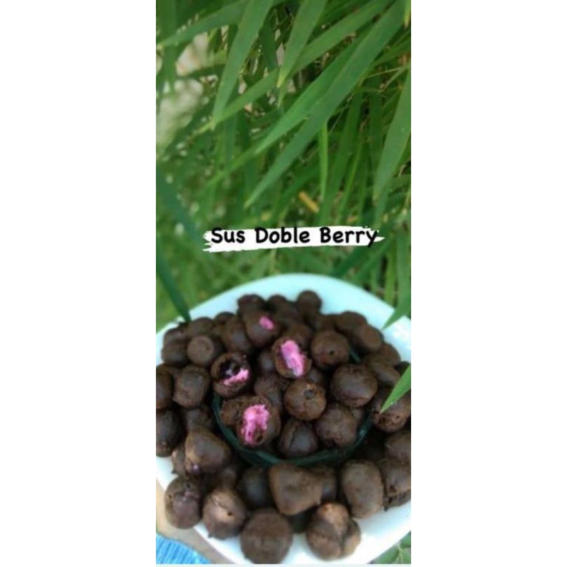 

SOES CHOCO BERRY 500 GRAM