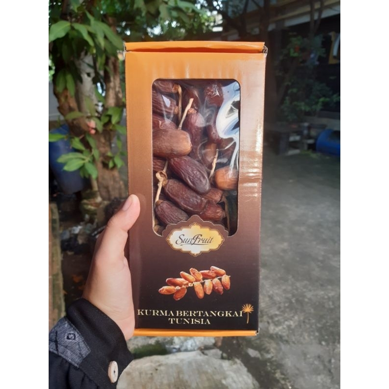 

Tunisia Tangkai Sunfruit kurma tangkai premium tunis daglet nour