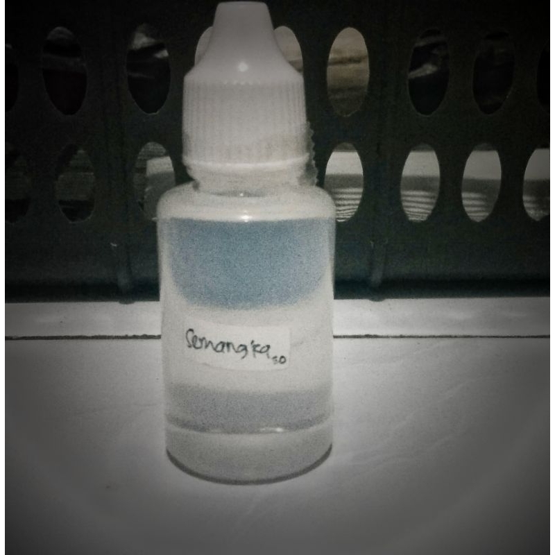 Essen Semangka Biang Murni