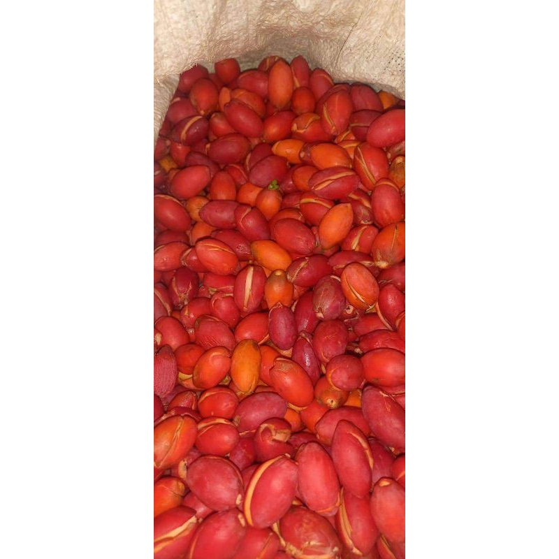 

sayur kulit melinjo 500gram