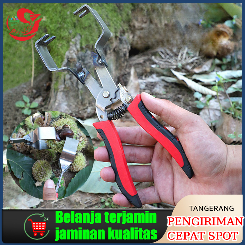 Alat Pembuka Kacang Kastanye /Alat Pembuka Chestnut /Chestnut Clip