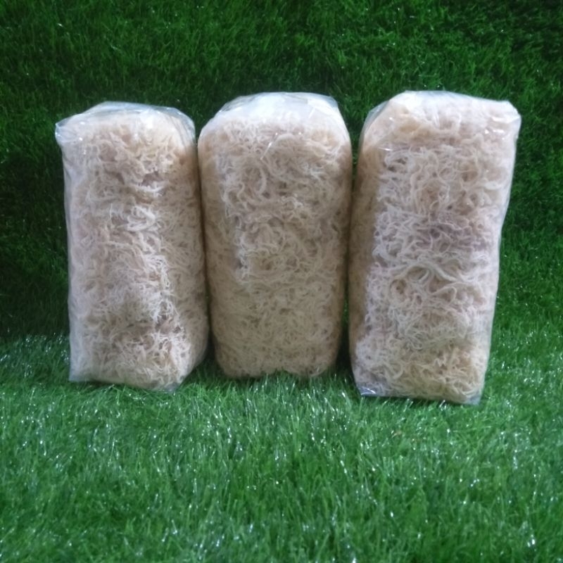 

1Kg Rumput Laut Kering Halal Untuk Es Campur Dan Salad Buah